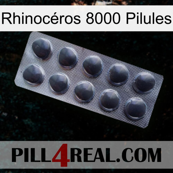 Rhinocéros 8000 Pilules 30